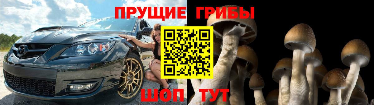 Галлюциногенные грибы прущие грибы Сунжа