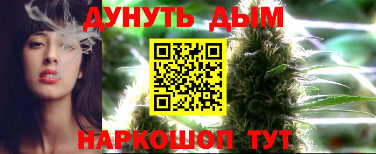 Каннабис конопля  Вход с VPN  Шишки марихуана SATIVA & INDICA  Сунжа  Канабис Amnesia 